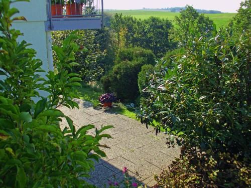 Outdoor Pictures 7