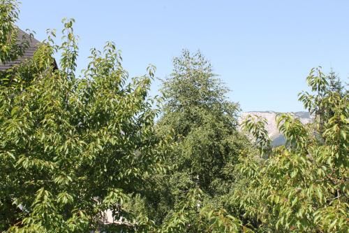 Outdoor Pictures 12