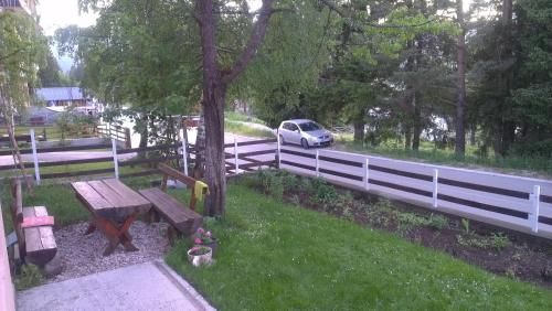 Outdoor Pictures 15