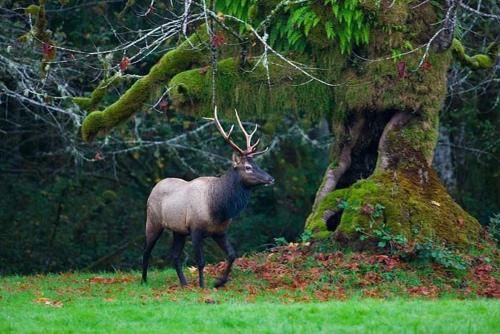 Outdoor Pictures 16