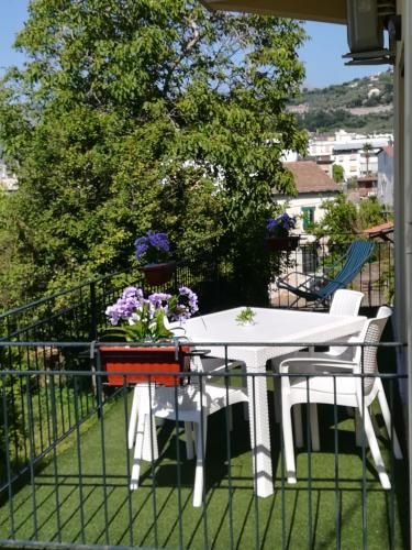 Outdoor Pictures 1