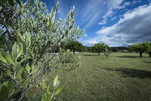 Outdoor Pictures 21