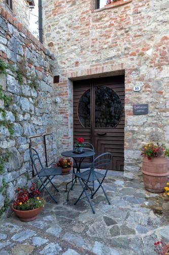 Outdoor Pictures 22