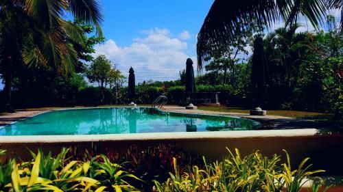 Outdoor Pictures 21