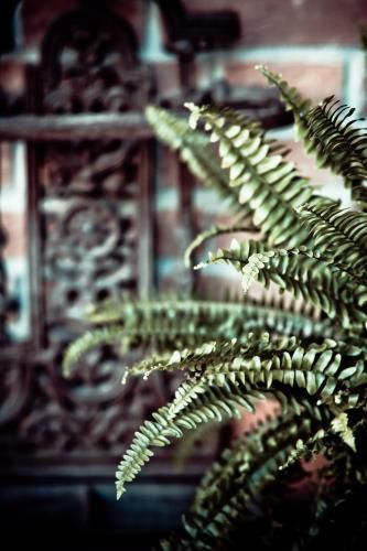 Outdoor Pictures 20