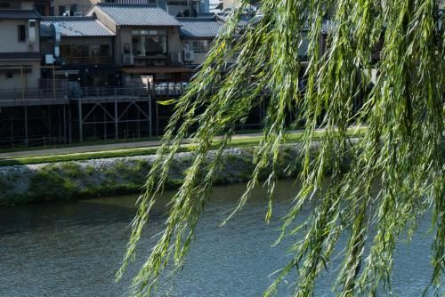 Outdoor Pictures 22