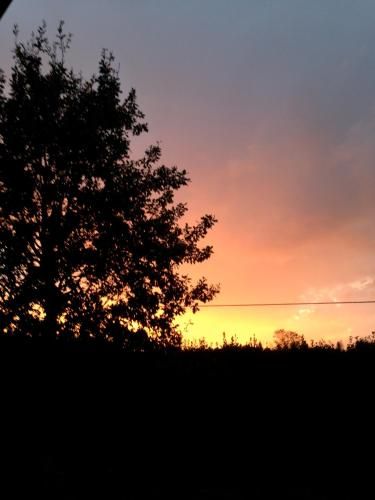Outdoor Pictures 17