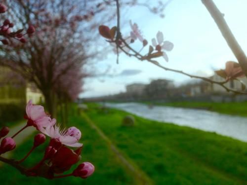 Outdoor Pictures 20