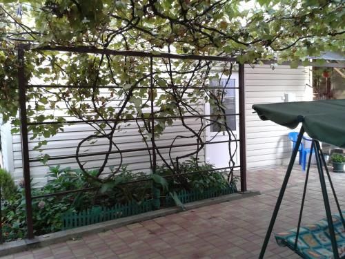 Outdoor Pictures 24