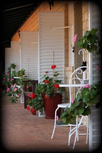 Outdoor Pictures 19