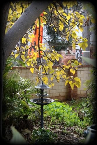 Outdoor Pictures 23
