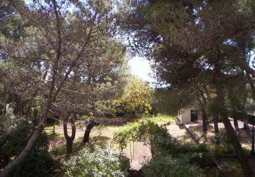 Outdoor Pictures 17