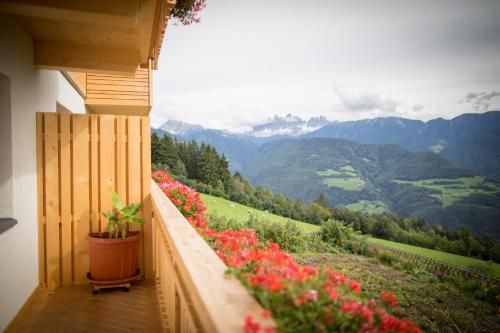 Outdoor Pictures 15