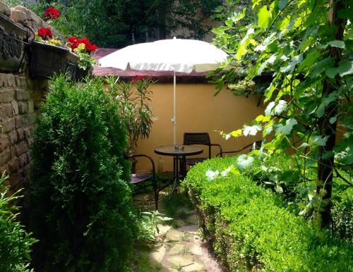 Outdoor Pictures 23