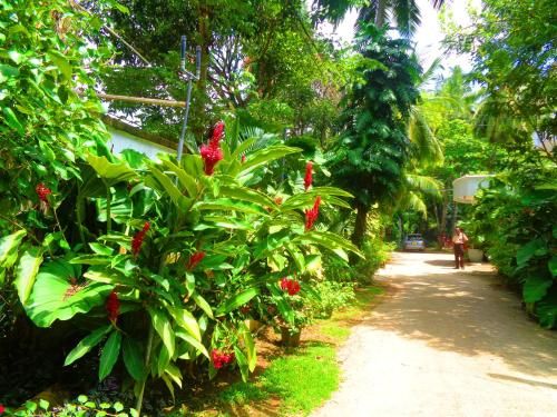 Outdoor Pictures 21