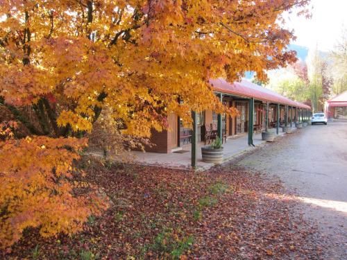 Outdoor Pictures 15