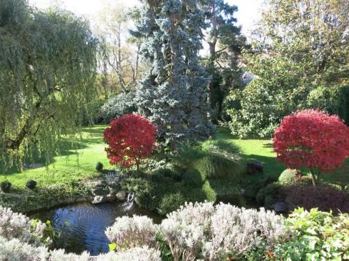 Outdoor Pictures 20
