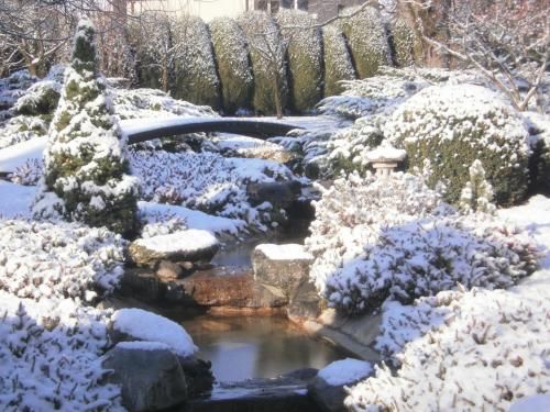 Outdoor Pictures 22