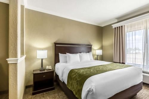 Comfort Suites Houston IAH Airport - Beltway 8