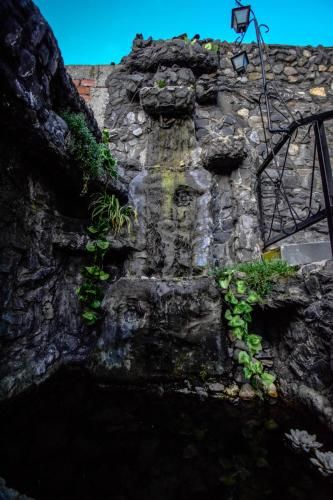 Outdoor Pictures 21