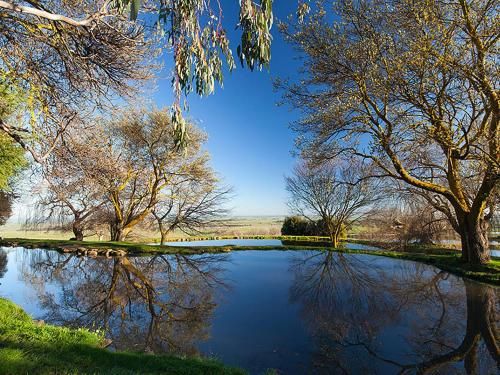 Outdoor Pictures 21