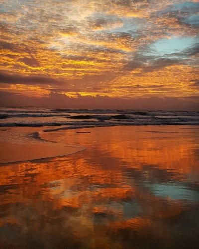 Outdoor Pictures 20