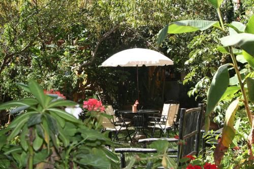 Outdoor Pictures 17