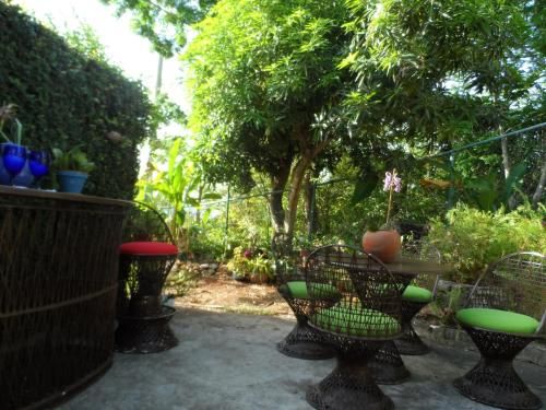 Outdoor Pictures 21