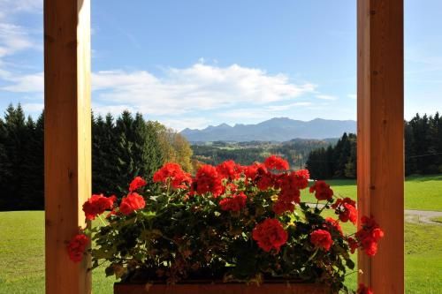 Outdoor Pictures 15