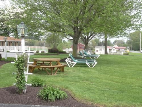 Outdoor Pictures 17