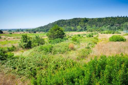 Outdoor Pictures 21
