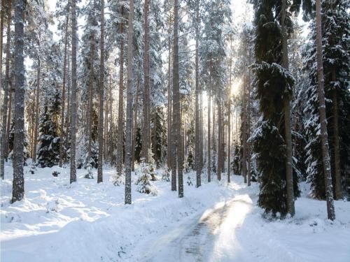 Outdoor Pictures 20