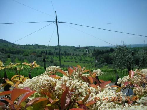 Outdoor Pictures 7