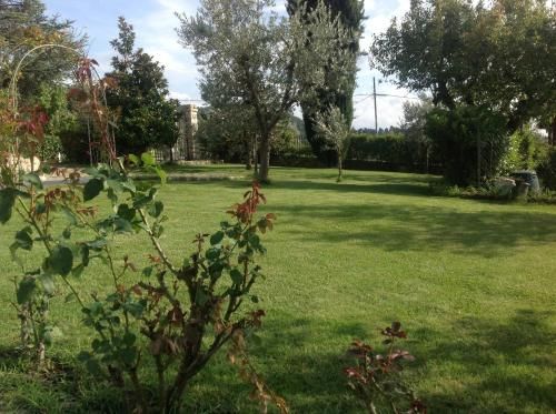 Outdoor Pictures 19