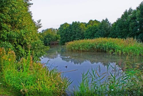 Outdoor Pictures 22