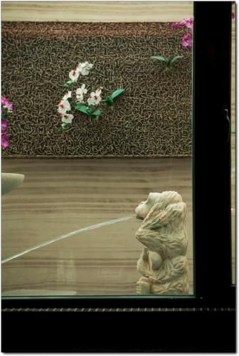 Outdoor Pictures 20