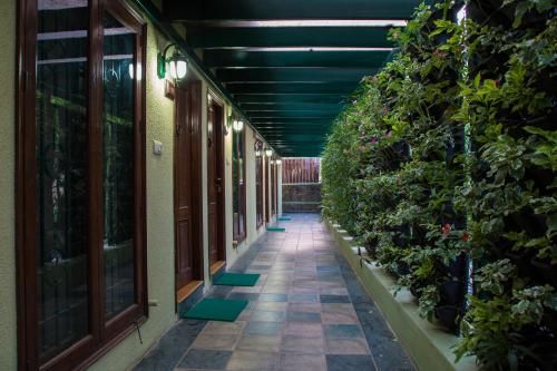 Outdoor Pictures 15