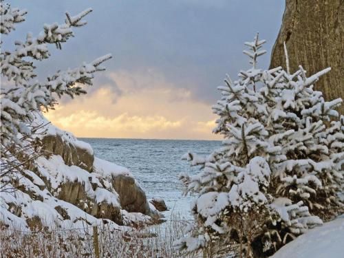 Outdoor Pictures 21