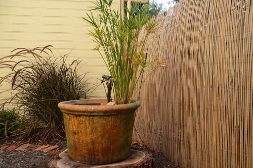 Outdoor Pictures 23