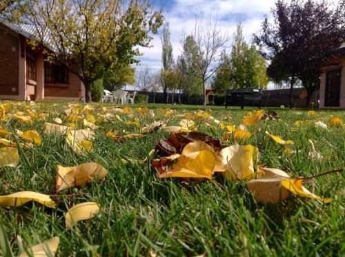 Outdoor Pictures 12