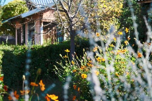 Outdoor Pictures 10