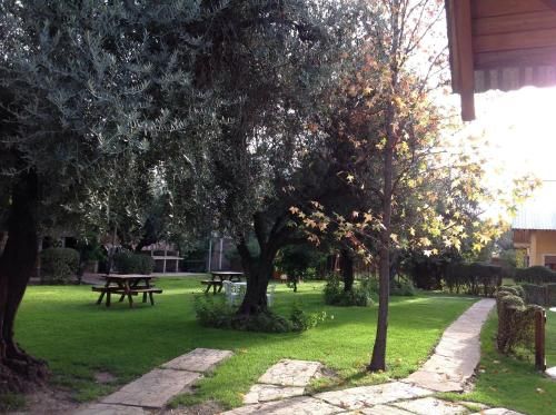 Outdoor Pictures 15