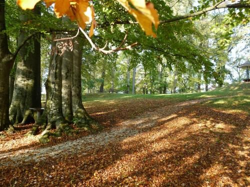 Outdoor Pictures 23