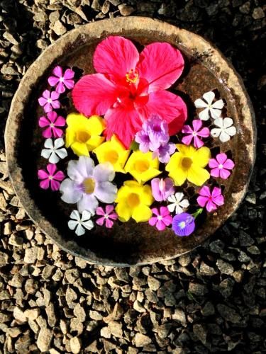 Outdoor Pictures 16