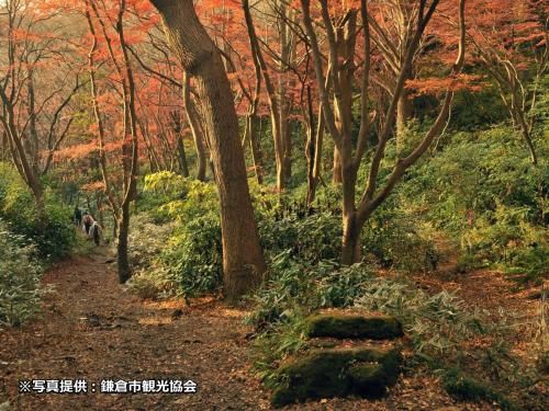Outdoor Pictures 17
