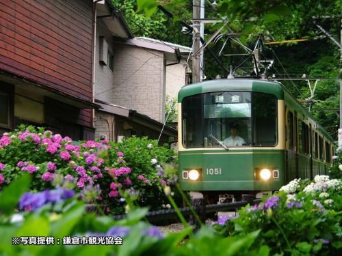 Outdoor Pictures 16