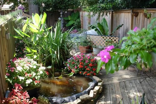Outdoor Pictures 19