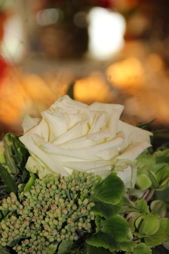 Outdoor Pictures 15