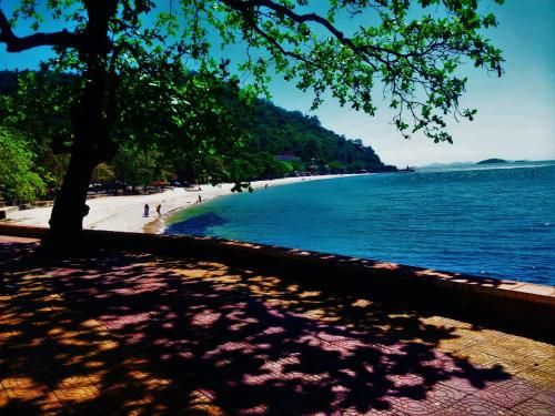 Outdoor Pictures 22