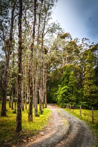 Outdoor Pictures 22